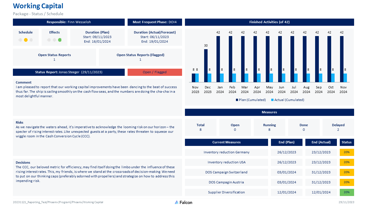 One of Falcon's more detailed project portfolio reports
