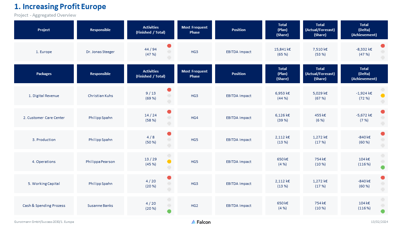 One of Falcon's aggregated project portfolio reports